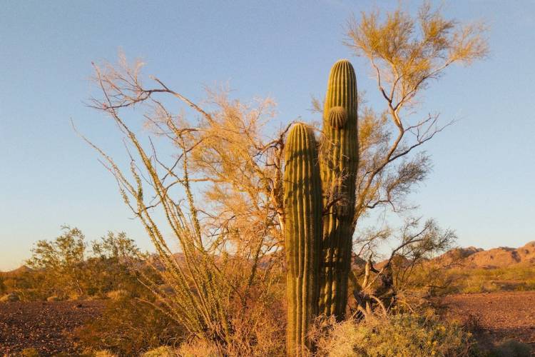 arizona ghost towns