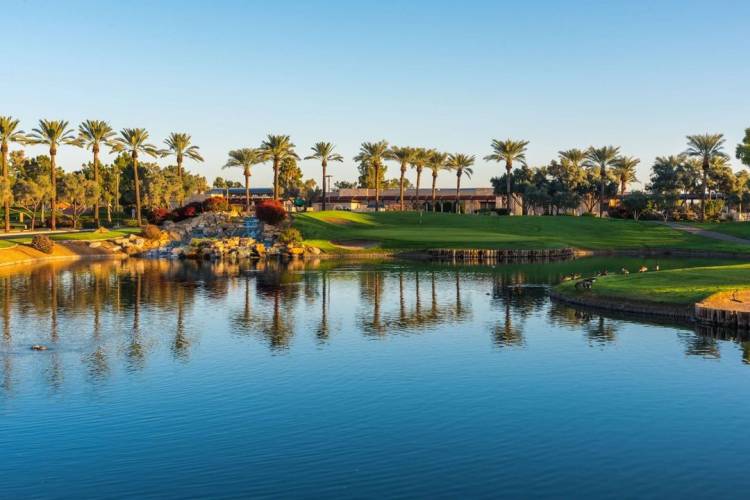 a green fairway and palm trees in the background behind a placid lake and a clear sky in chandler, arizona